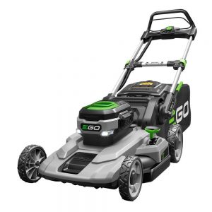 ego lm2100