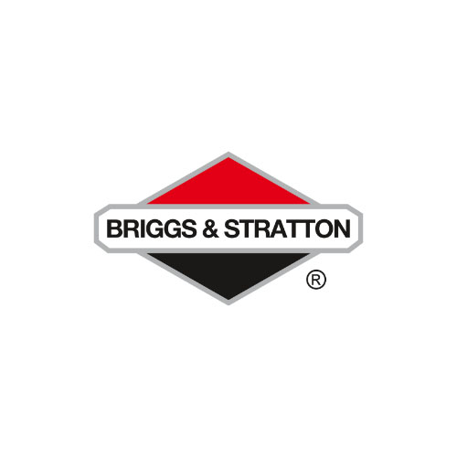 BRIGGS STRATTON